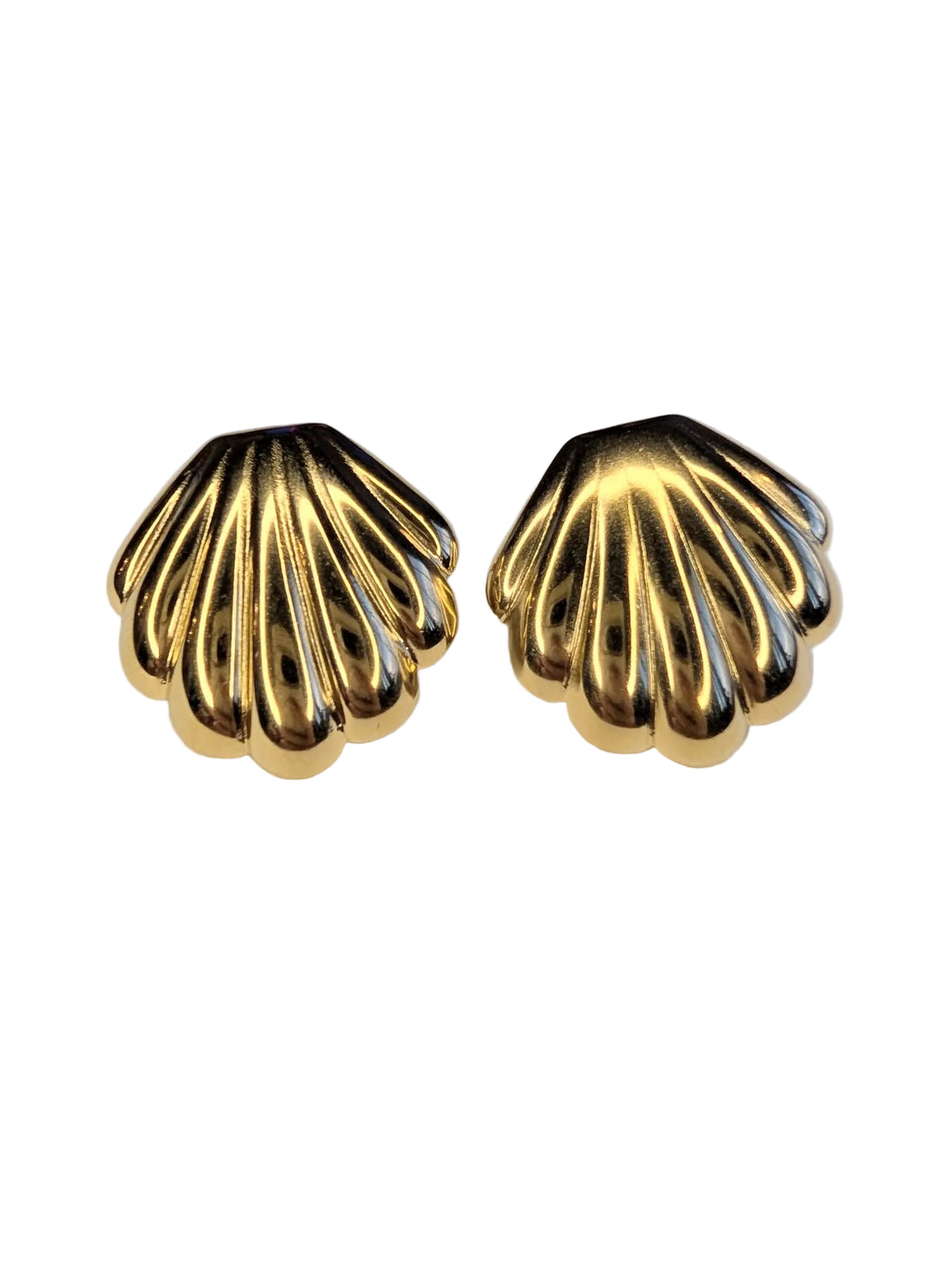 The Conchiglia Shell Studs